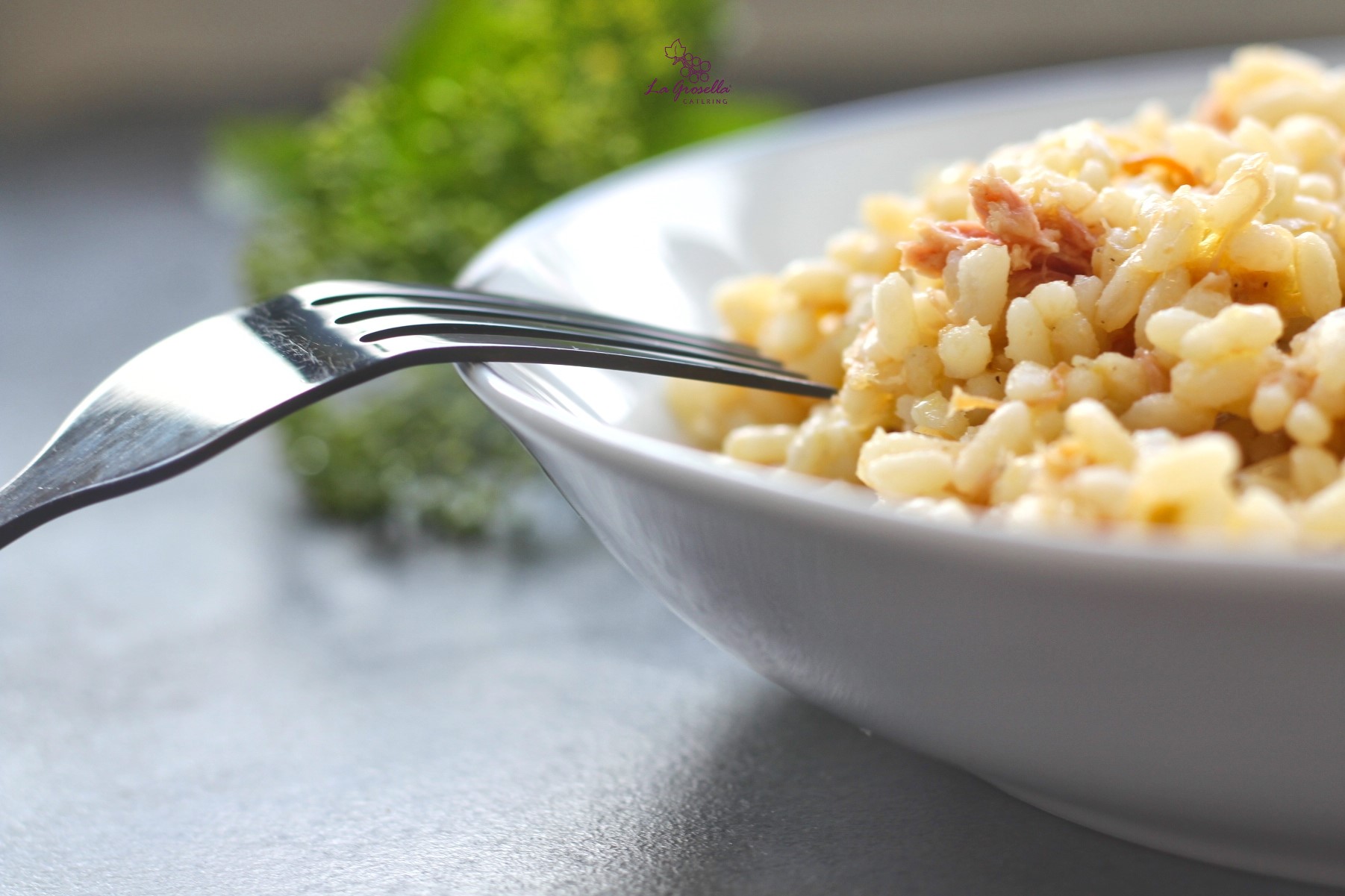 Arroz con pulled pork